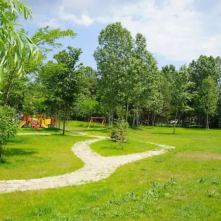 Dream Island Apartament