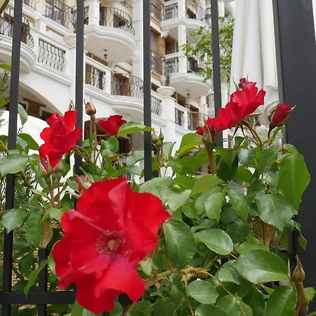 Dream Island Apartament *